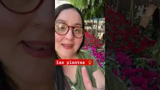 Learn Spanish! las plantas 🪴 ( plants/flowers) #spanishforbeginners  #plants #gardening #flowers