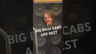 810 Bass Cabs, Annoying and also Good #gallienkrueger #bassguitar #vintageamp