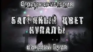 A Bedtime Story   The Crimson Color of Midsummer Night  Vitaly Briz