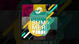 PERFECT SOLUTIONS PERFECT SUMMER VIBE ANTHEM