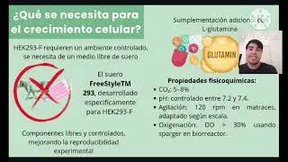 OBTENCI&Oacute;N DE FIBRONECTINA RECOMBINANTE EN C&Eacute;LULAS  HEK293F COMO ESTRATATEGIA PARA MEJORAR LA OSTEOIN