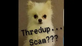 Thredup How I really feel. (scam)