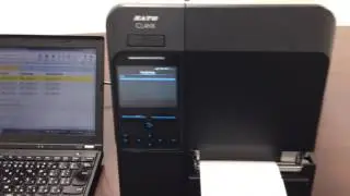 CL4NX/CL6NX Configuración automática - Clonado e IP