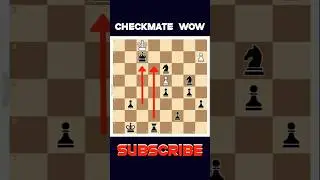 He lost everything then Checkmate 🏆 #chess #Checkmate #chesstricks