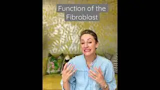 Function of the Fibroblast  #retinolskincare #retinoids101 #retinacream #tretinoin #fibroblast