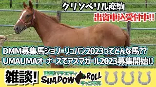 【一口馬主・オーナーズ】DMM募集馬ジョリーリュバン2023ってどんな馬??UMAUMAオーナーズでアズマガール2023募集開始!!【雑談SHADOWROLL】