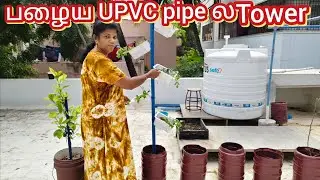 பழைய UPVC pipe வீணாக்காதீர்கள்/Terrace garden plant Tower idea/புதினா கொத்தமல்லி /grow mint, idea's 