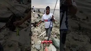 Mallu Anglers Shore Fishing Competition 2022.#okuma  #MalluAnglersAUH | Angler : Khaleel - Entry 76