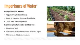 Episode 11: Recordkeeping and Water Source Management