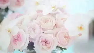 UAE Royal Wedding Decor shoot for Tanseeq by STUDIO 77