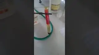 D pharma 1st year  practical (anion test solution) Pharmaceutical chemistry