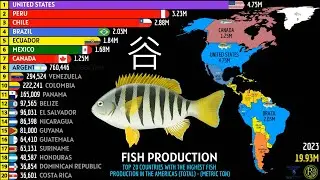 TOP 20 COUNTRIES WITH THE HIGHEST FISH PRODUCTION IN THE AMERICAS
