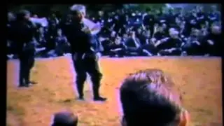 Bujinkan Dojo Basic Punch and Kick