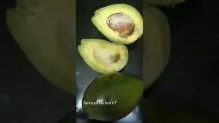 Avocado ( Butter fruit ) Milkshake 🥑