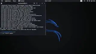 pip installation with pygame Package in kali Linux