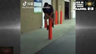 funny videos 2026 271
