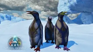 Finding The Best Organic Polymer Available! Ark Ascended: The Island (Episode 6)