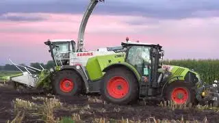 Maishäckseln 2017 im Moor mit ein Claas Jaguar 980 DP