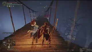ELDEN RING invader bridge fail