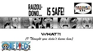 One Piece Manga 816 - Dog Vs Cat Review