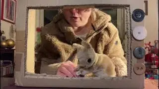 Hopsi, das Eichh&ouml;rnchen, &ouml;ffnet T&uuml;rchen 7