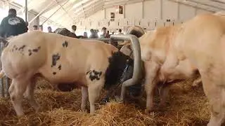 كـــــواليس جهوية  - ديماريف الوثائقية. 