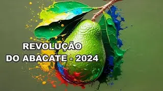 A Revolução do Abacate   2024