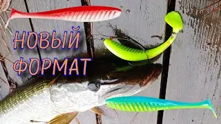 Новые силиконовые приманки от IAM COMPANY