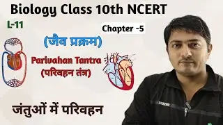L-11, रक्त परिवहन तंत्र (Blood Circulatory System) || जैव प्रक्रम || Class 10th Biology || Chapter-5