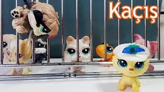 Minişler: Dr.Oxford Hapisten Kaçış ⛓🔍| Minişler LPS Pati