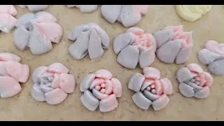 Russian Piping Tips Test!!