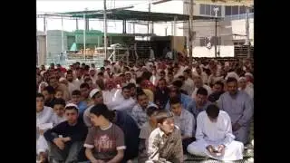 أناشيد نبهانية 17 ياأيها الفرد الحبيب