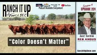 Sustainable Beef: A Processing Plant Where Color Doesn&rsquo;t Matter