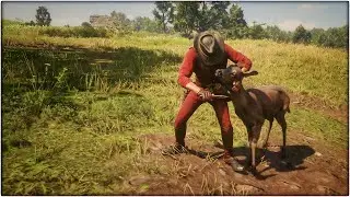 How To Get A Perfect Deer Pelts In Red Dead Redemption 2 - PC