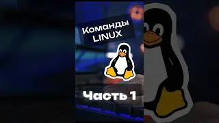 Команды LINUX с нуля! #linux #shorts #bash #python