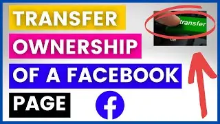 How To Transfer Ownership Of A Facebook Page? [in 2025] (Change Facebook Page Owner)