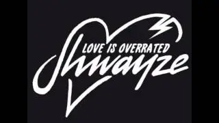 Shwayze - Love Is Overrated