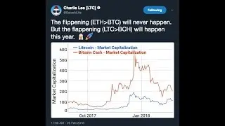 BREAKING News: LitePay Launch Delayed? 'The Flappening'  / Nightly Market Update!