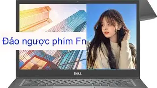 Khắc phục lỗi các phím Fn bị đảo ngược trên laptop dell latitude e7490