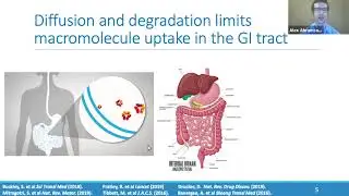 Faculty Forum Online: An Insulin Pill That Delivers