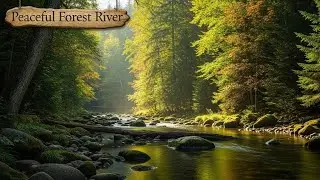 River Ambience 🌿 Flowing Water Sounds for Meditation and Deep Sleep Calm #1959