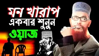 আজ রাতে ঘুমানোর আগে অন্তত একবার ওয়াজ এটি শুনেন। || ALLAMA DELWAR HOSSAIN SAIDI || আল্লামা সাঈদী 