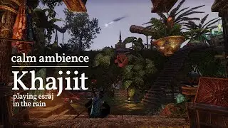 Khajiit Plays Esraj in the Rain | 10 min | Calm Ambience, Music | ESO
