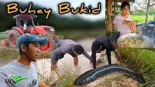 Ep.455- PAGPAPATRAKTORA NG BUKID | NAKAHULI NG DALAG | BUHAY PROBINSYA | bukids