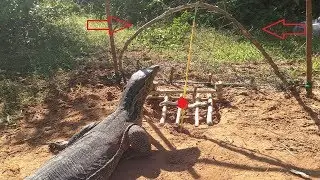 Good Creative! Smart Man Make Primitive Komodo Dragon Trap At Rice Field To Catch and Attacked With