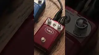 PEDAL T-REX TONEBUG SENSEWAH