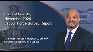 November 2024 Labour Force Survey Report