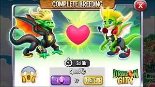 NEW BREEDING: Lachlan Dragon & Lachy Dragon | DRAGON CITY 2020! 😱