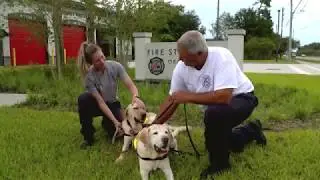 Orange County Fire Rescue | The Rookie