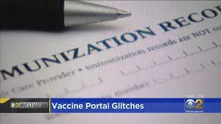 Days After Launch, Illinois COVID-19 Vaccine Portal Has Glitches